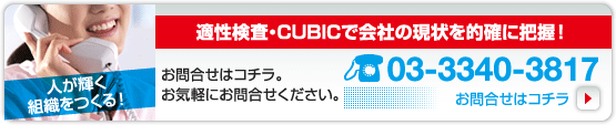 適性検査・CUBICで会社の現状を的確に把握！