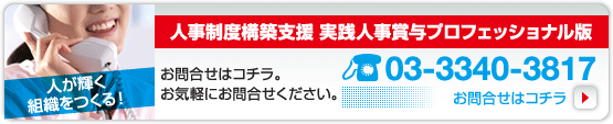 人事制度構築支援 実践人事賞与プロフェッショナル版